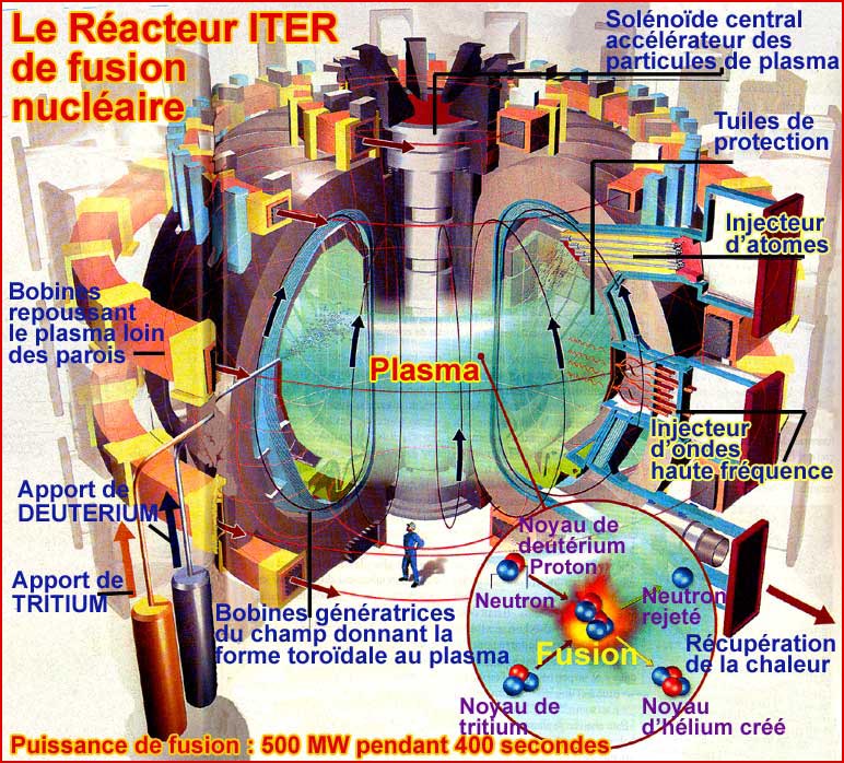 3 coupes du racteur